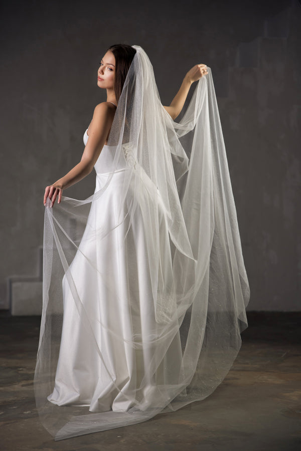 Glitter wedding veil with comb